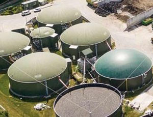 Biogas